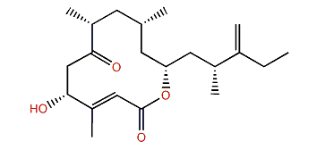 Amphidinolide Q